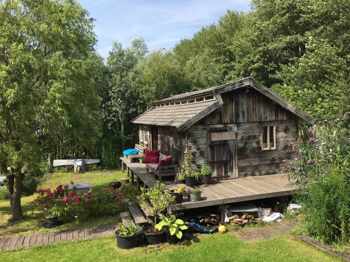 Cabin in the Green – near Amsterdam  ijmuiden