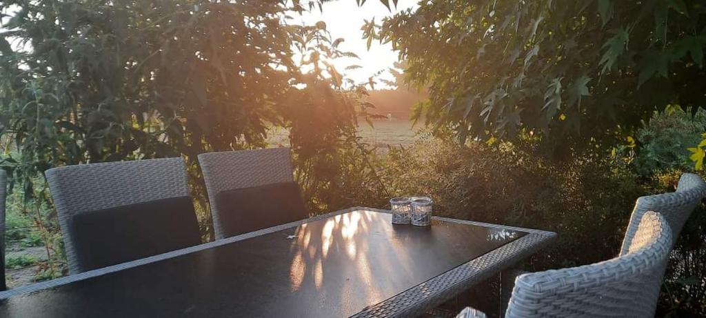bb de raamberg hondvriendelijk hotel breda terras