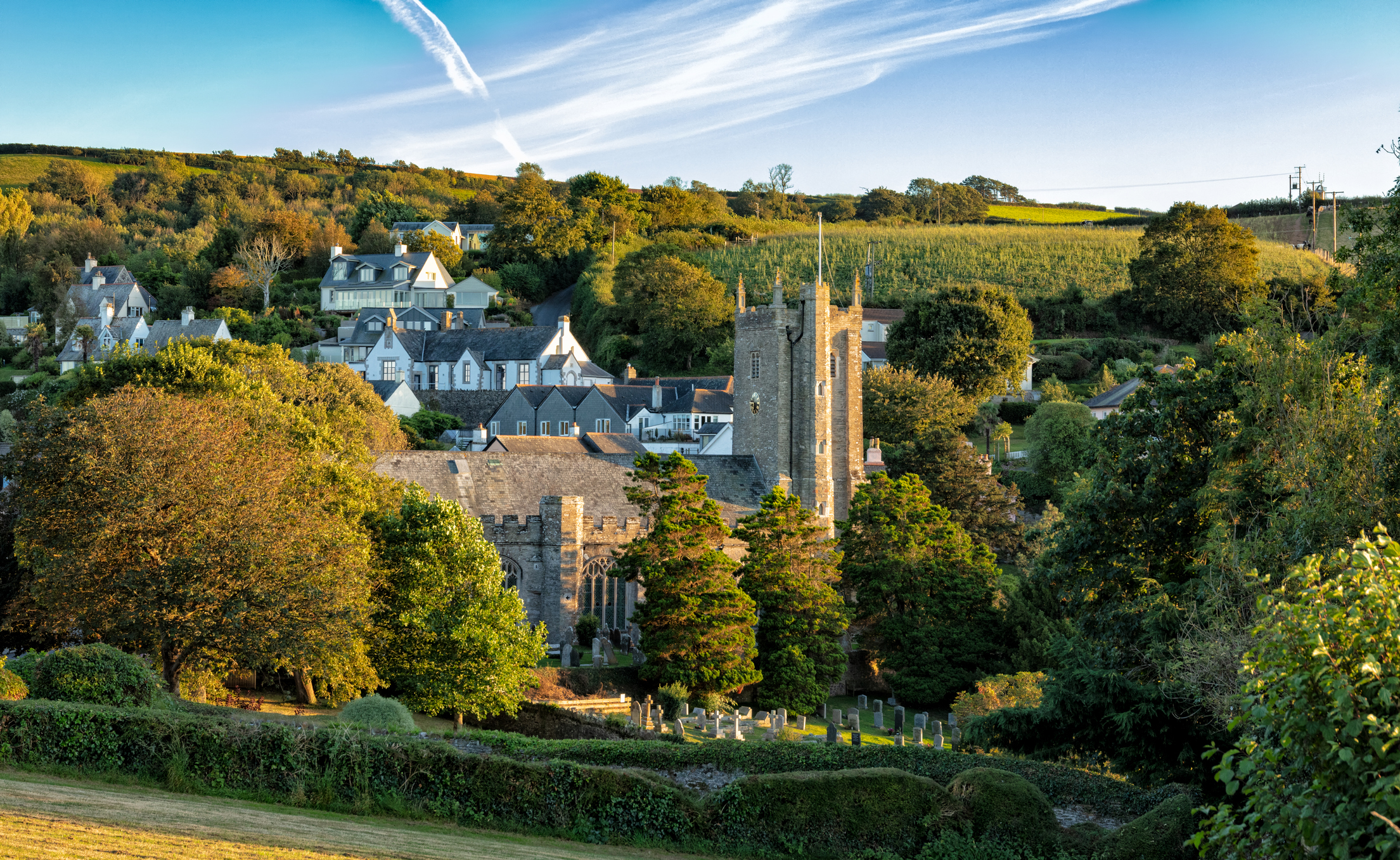 hondvriendelijke hotels devon