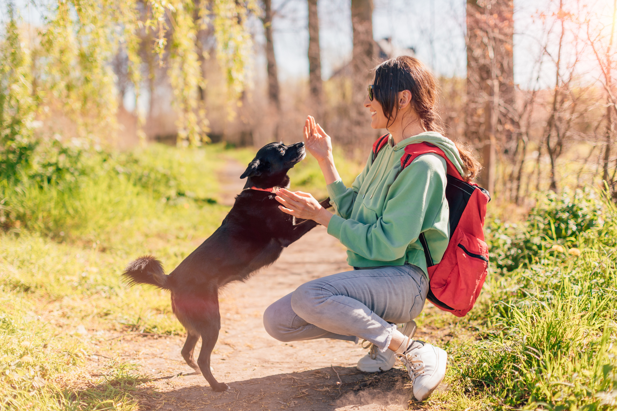vakantie in nederland met hond