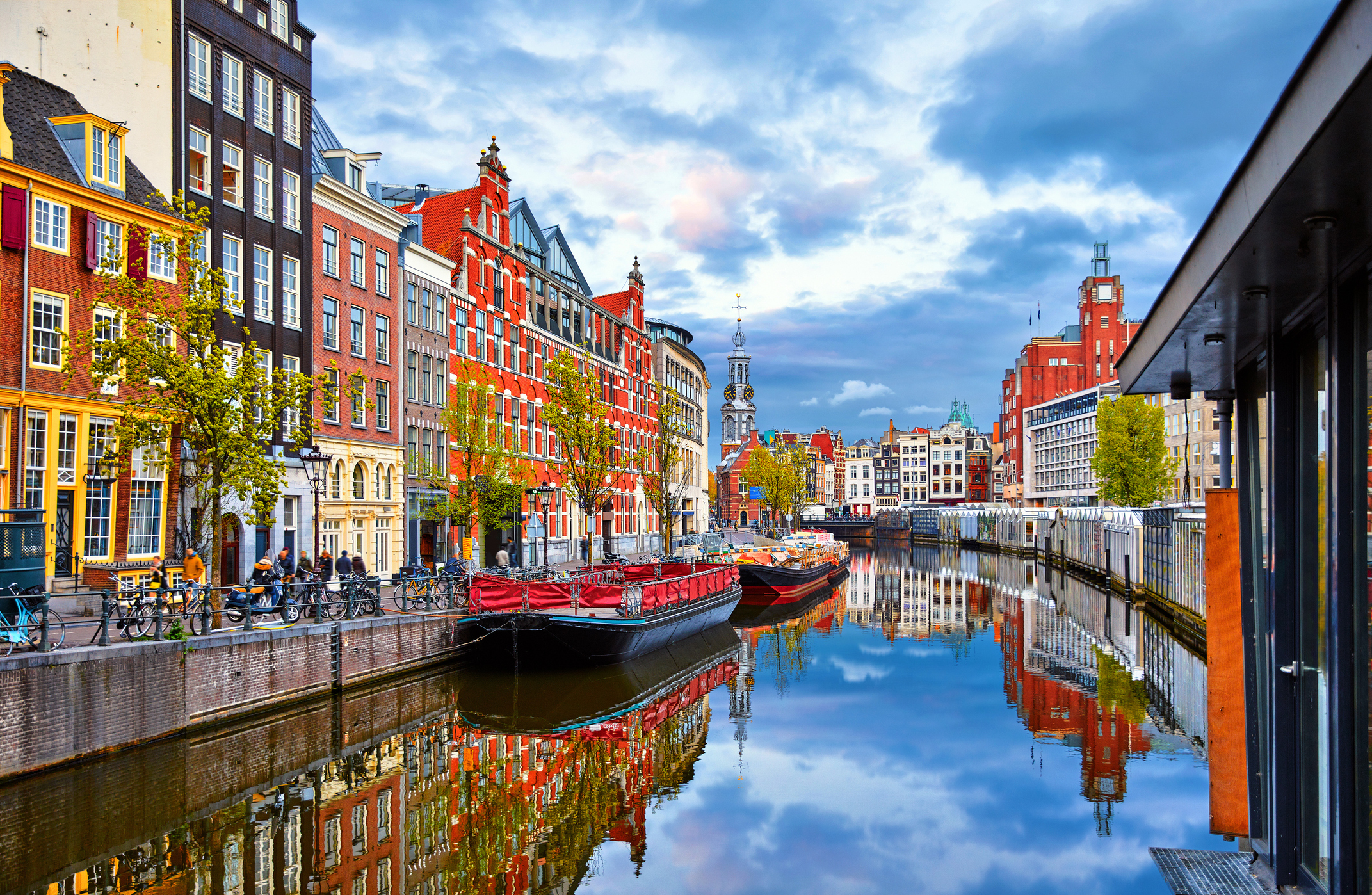 hondvriendelijk hotel nederland